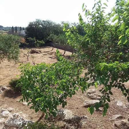Casa Cosimi * Castrignano del Capo